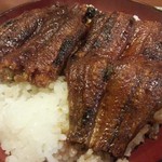 うなぎ丼（松）