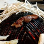 札幌成吉思汗 しろくま  - 北海道産の野菜と戯れる羊肉