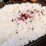 丸ノ内アオギリ弁当 - やみつき唐揚弁当(ブラック)　ご飯