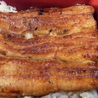 割烹蒲焼 横浜八十八 吉田町店 - 