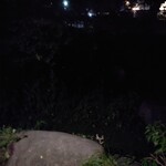 あさば - たくさんの　蛍　　蛍✨