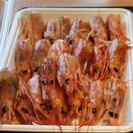 牡蠣･海鮮食べ放題 松島おさしみ水族館 - 祝21匹……