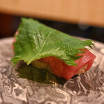 Shibu2 Zushi - 