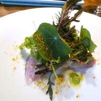 イタリア料理式 ricetta8.7 - どんちっち鯵のミキュイ　サラダ風