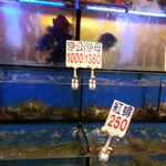 鮮定味生猛海鮮 - 