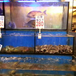 鮮定味生猛海鮮 - 