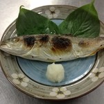 海鮮料理 美加茂 - つばすの一本焼き