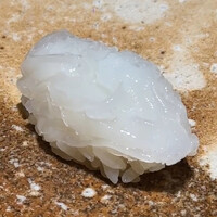 恵比寿 鮨 藤 - 