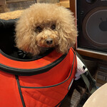 THE NUTS EXCHANGE - 可愛いなぁ～