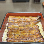 Unagi Hashimoto - 