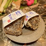 六花 - 島根 隠岐の島天然岩牡蠣”夏輝” 