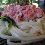 Nakasanaka ten - 饂飩麺　アップ