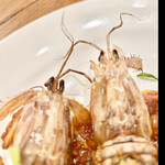 da Uma - シャコのヒゲ　byまみこまみこ