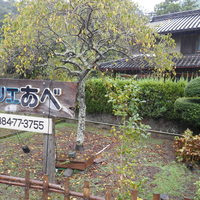 ラトリエ あべ - 