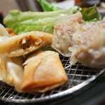 餃子と咖喱ザンギの店 点心札幌 - 春巻き、肉シューマイ