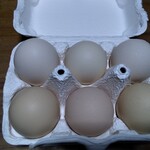 カフェ マガタ - コイツがプリンの元