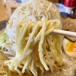 とんこつらーめん こう路 - 麺アップ