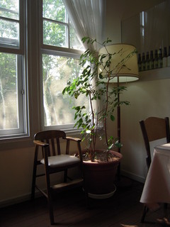 Restaurant Sonetto - やわらかい陽が差し込みます