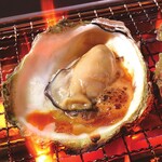 1 grilled Oyster (Hiroshima Prefecture)