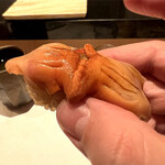 鮓 きずな - 
      味わいが濃く、歯切れの良い爽やかな甘み、噛むほどに旨味が広がります‼️