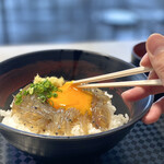 田子の浦港 漁協食堂 - ・赤富士丼 並 1,000円/税込