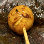 吾一 - きんかん　たまひも