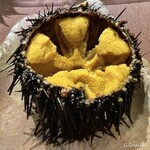 お料理 七草 - 八戸産の殻付き海栗