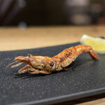 法善寺横丁 やき然 - 