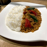 SPICE CHAMBER - 「キーマカレー 中 1100円」