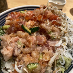 つじ半 - ぜいたく丼しらすトッピング