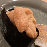 木挽町 とも樹 - ムラサキウニです