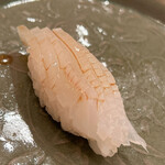 木挽町 とも樹 - 泥障烏賊です