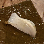 木挽町 とも樹 - 鮑の歯。個体に二本、備わっています