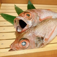 のどぐろ専門 銀座 中俣 - 