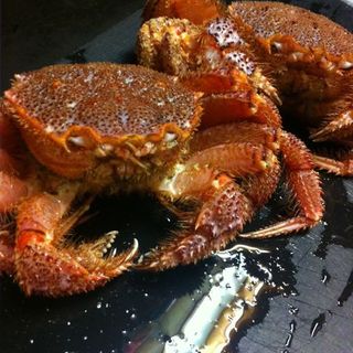 漁菜献舗 鳥新_2