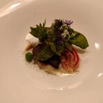 エヴォリュエ - 