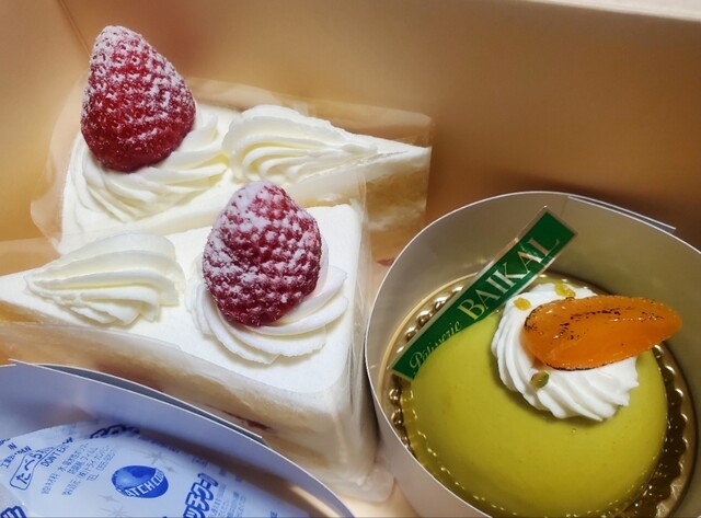 BAIKAL Kinkakuji Ten