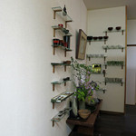 以心　みこと - 