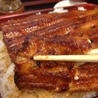 満寿家 - 御飯は大盛（100円up）