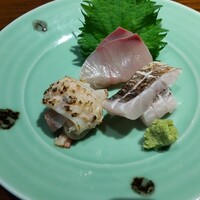 風凛 - 造り：ヒラマサ、太刀魚、北寄貝