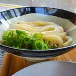 山越うどん - かけ冷(小)①