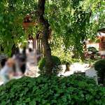 山越うどん - 内観⑥