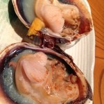 酒・肴 魚信 - 大アサリ