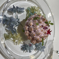 シェ ケンタロウ - 