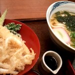 Kineya - 2011/03/31 白魚と菜の花の春天丼定食