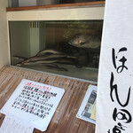 京都 柳馬場 ほん田亭 - 
