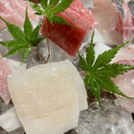 しんのすけ - 生本まぐろ、たいら貝