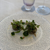 リストランテ ペガソ - 