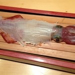 博多 表邸 - イカのお造り