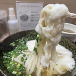 本格派博多うどん はし田たい吉 - 